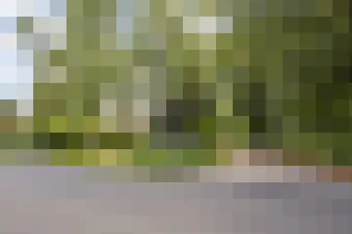 Meijelseweg 65 Beringe thumbnail 53