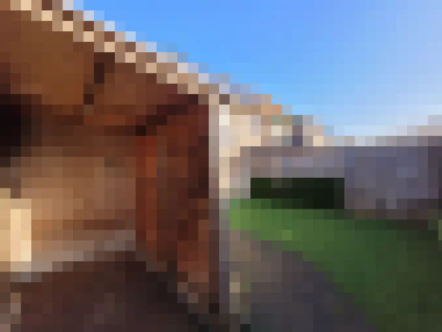 Meilag 43 Andijk thumbnail 19