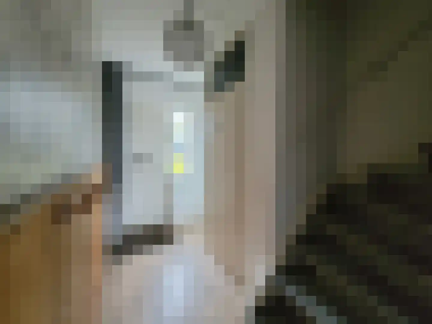 Meilag 43 Andijk thumbnail 5