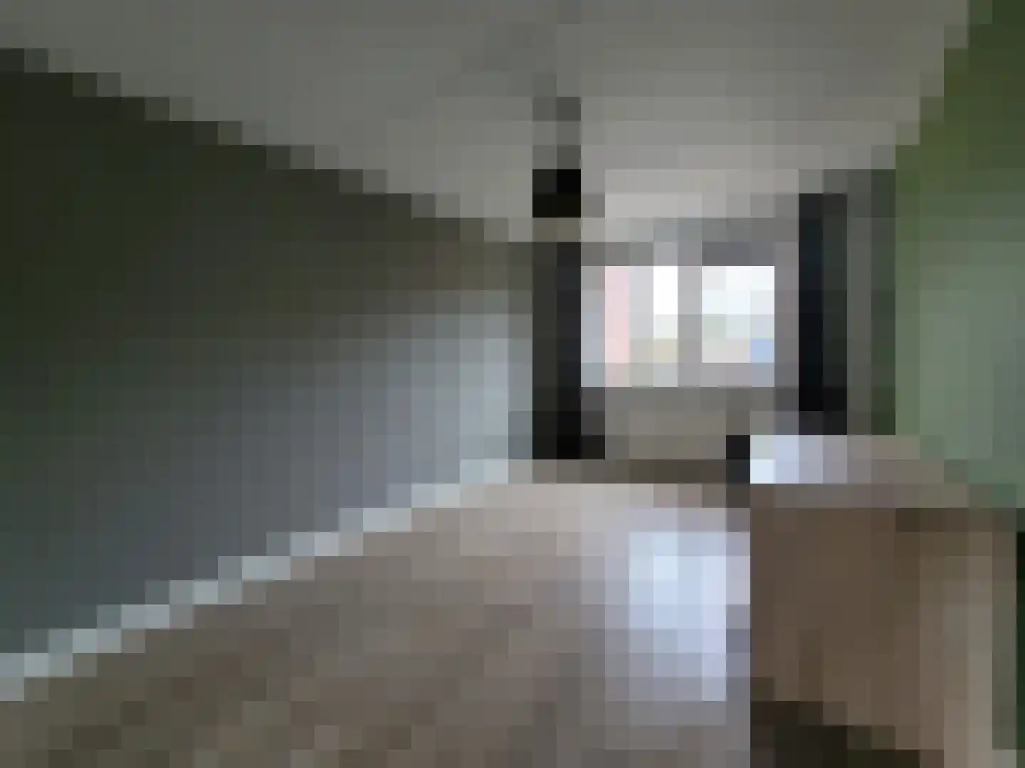 Meilag 43 Andijk thumbnail 9