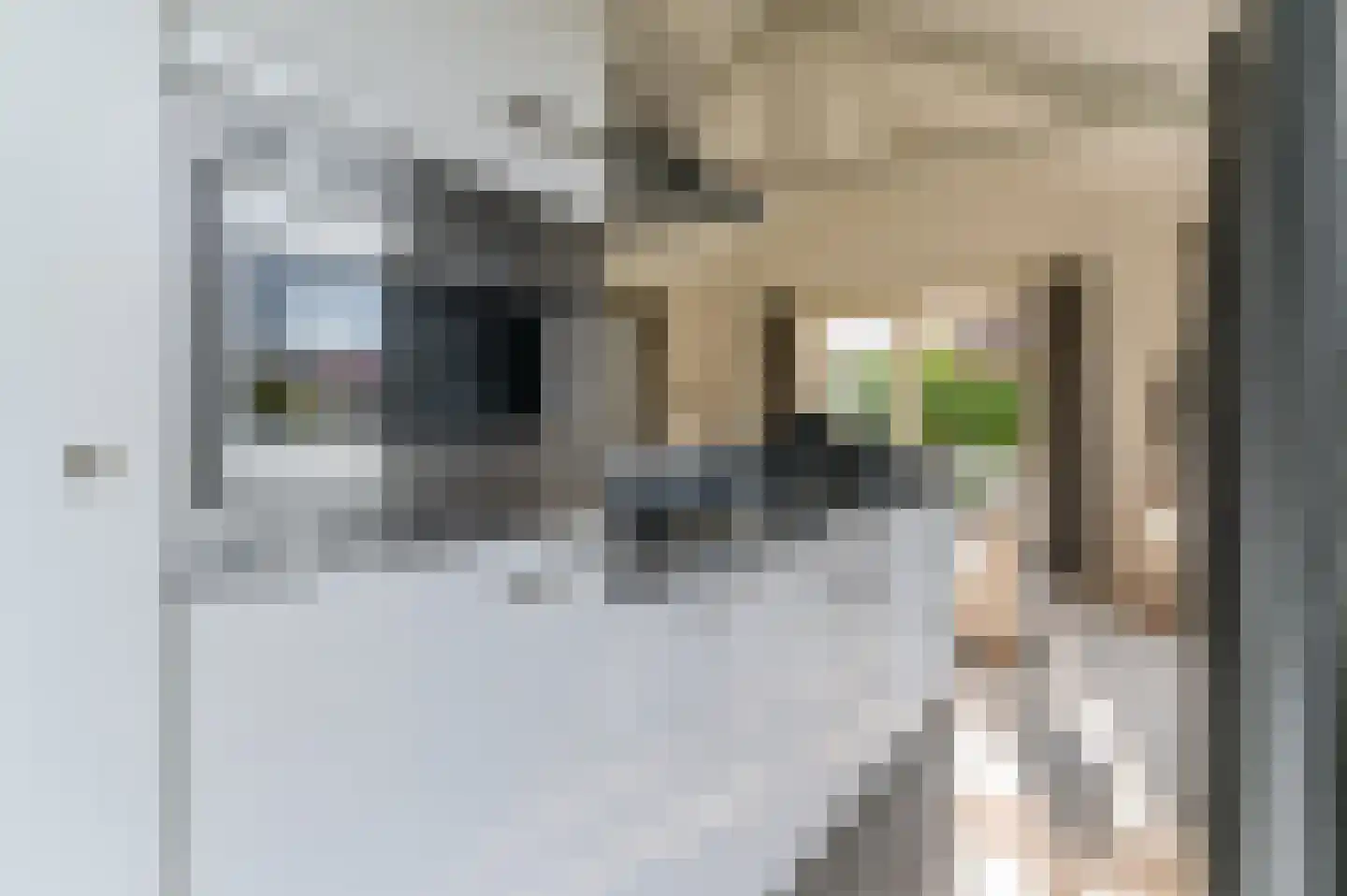 Meinesleatwei 14 Akkrum thumbnail 10
