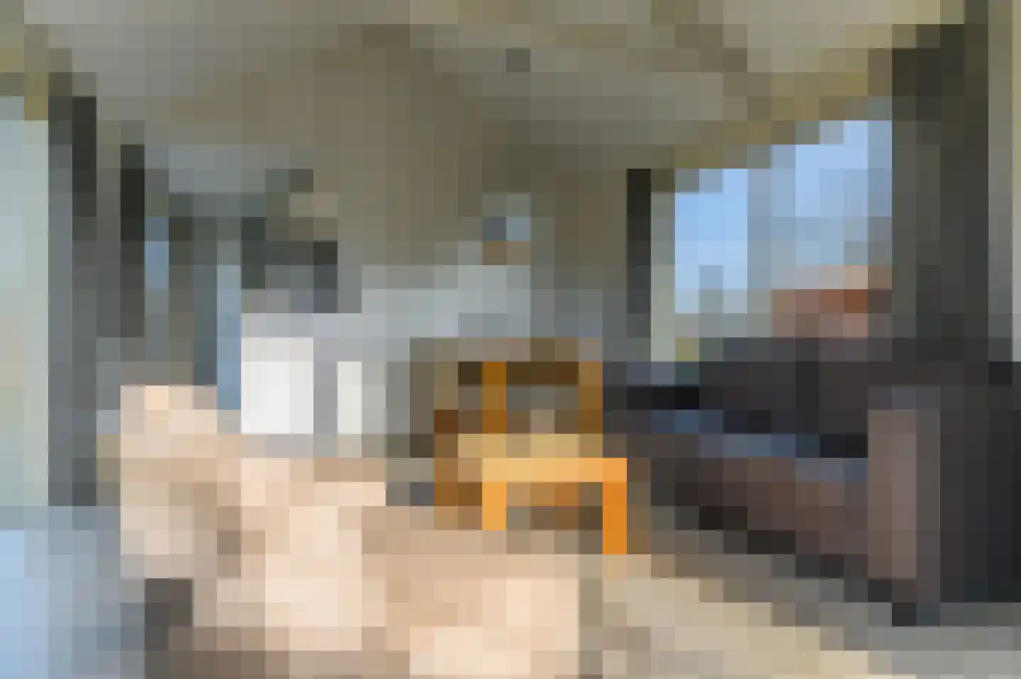 Meinesleatwei 14 Akkrum thumbnail 16