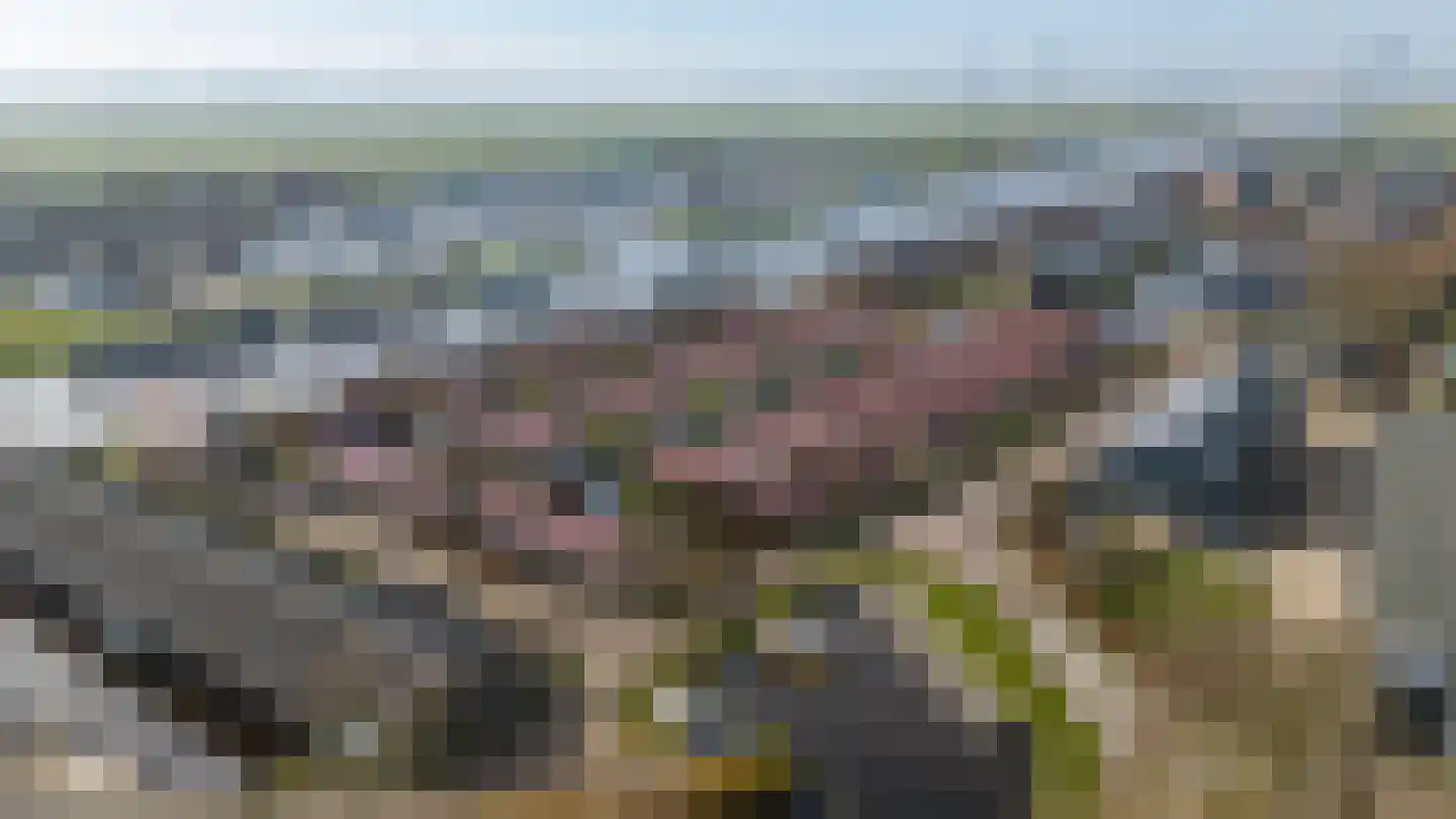 Meinesleatwei 14 Akkrum thumbnail 31