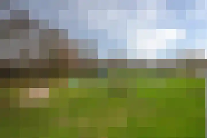 Melchersstraat 8 Landgraaf thumbnail 12