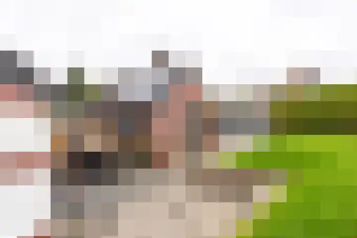Melchersstraat 8 Landgraaf thumbnail 30