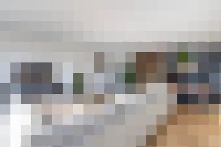 Melde 23 Reeuwijk thumbnail 11