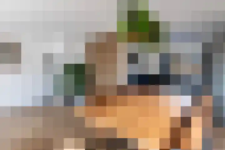 Melde 23 Reeuwijk thumbnail 15