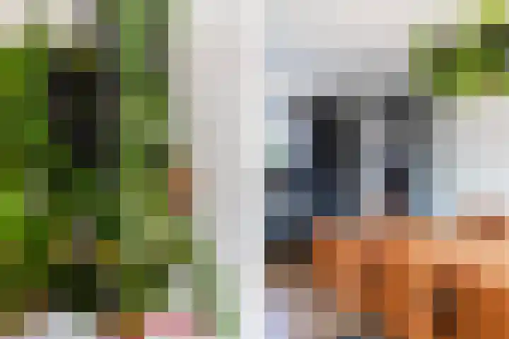 Melde 23 Reeuwijk thumbnail 16
