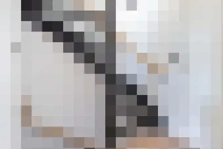 Melde 23 Reeuwijk thumbnail 19