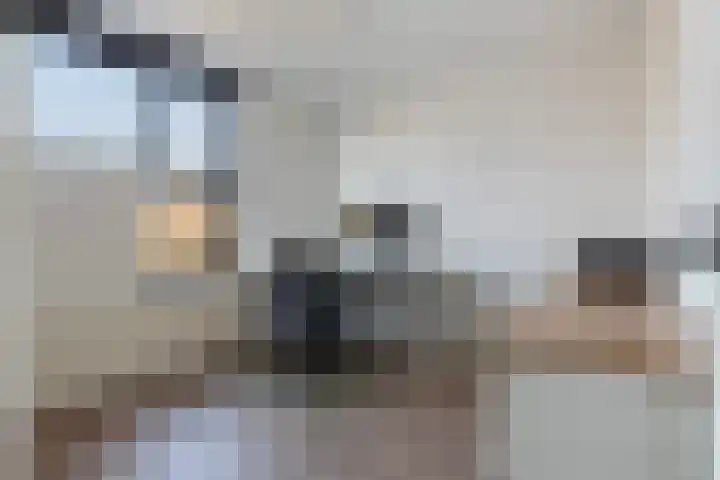Melde 23 Reeuwijk thumbnail 26