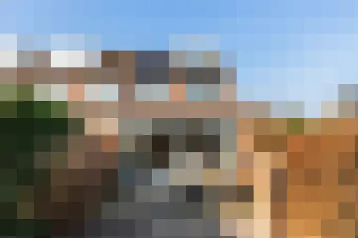 Melde 23 Reeuwijk thumbnail 37