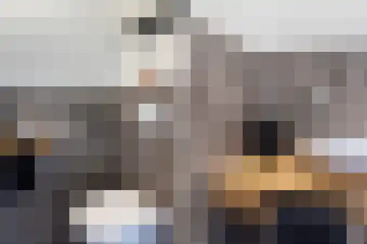 Melde 23 Reeuwijk thumbnail 9