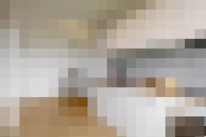 Melde 36 Uithoorn thumbnail 10