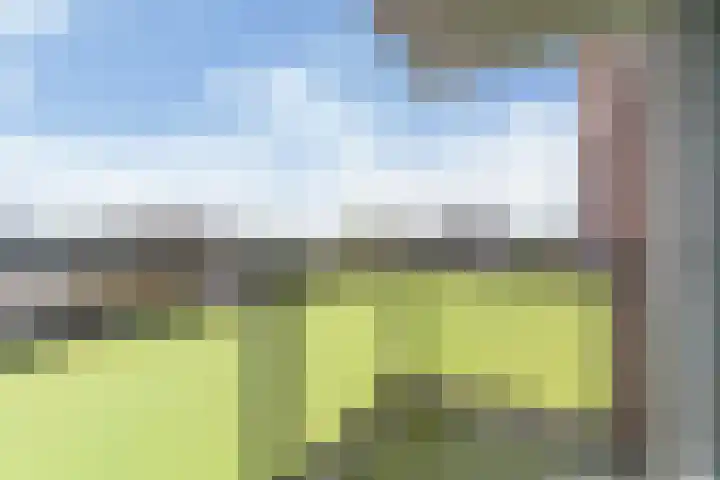 Melde 36 Uithoorn thumbnail 14