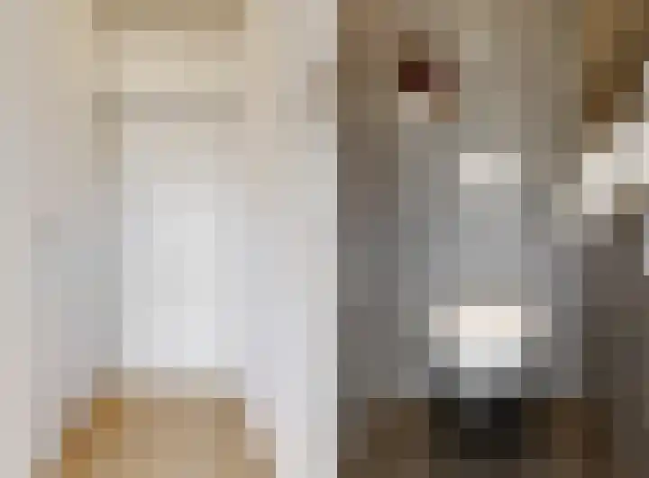 Melde 36 Uithoorn thumbnail 17