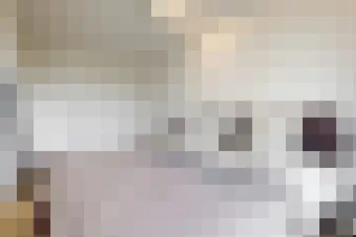 Melde 36 Uithoorn thumbnail 20