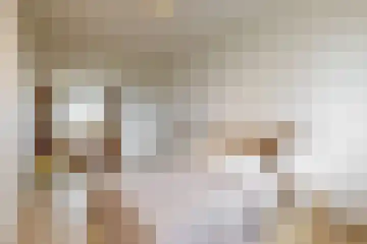 Melde 36 Uithoorn thumbnail 22