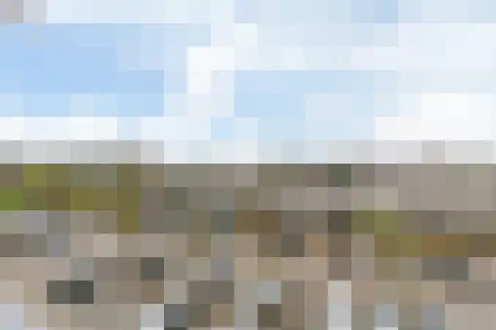 Melde 36 Uithoorn thumbnail 31