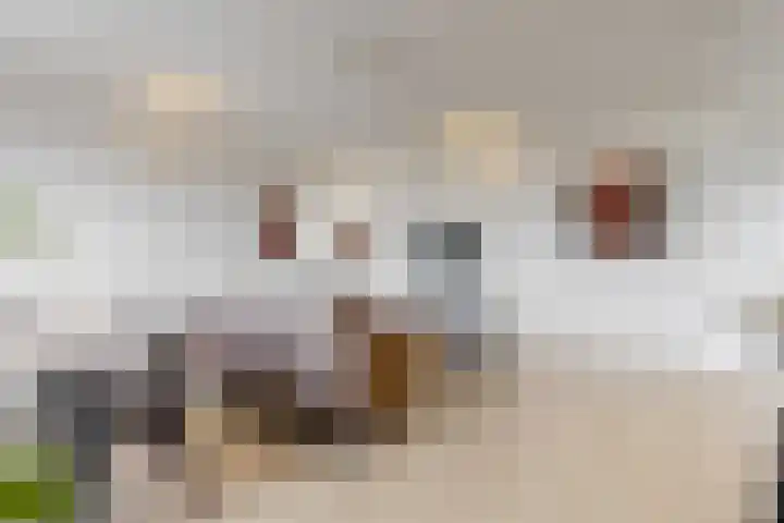 Melde 36 Uithoorn thumbnail 4