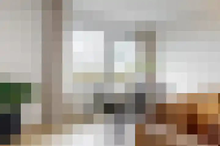 Melde 36 Uithoorn thumbnail 5