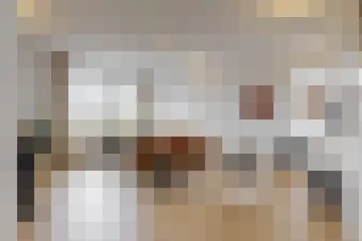 Melde 36 Uithoorn thumbnail 7