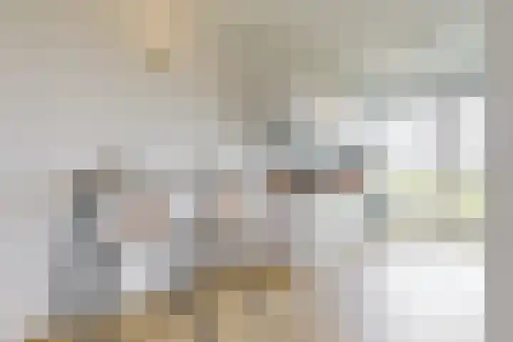 Melde 36 Uithoorn thumbnail 8