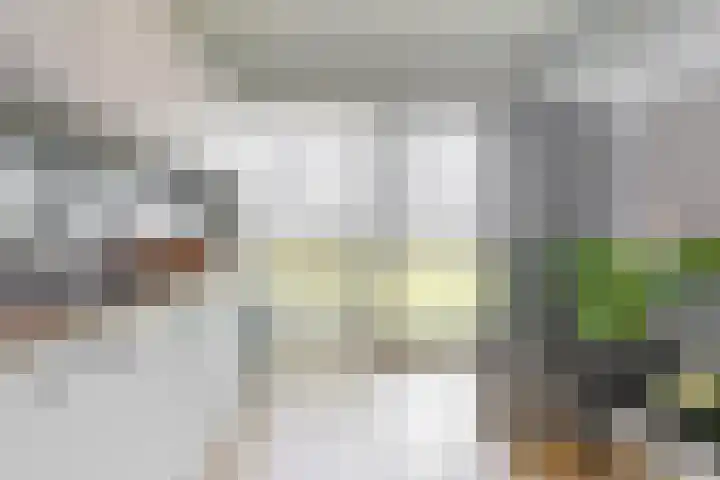 Melde 36 Uithoorn thumbnail 9