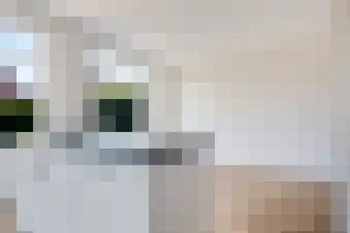 Melenhorst 26 Losser thumbnail 10