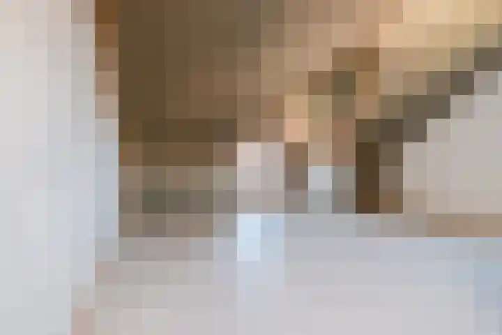 Melenhorst 26 Losser thumbnail 29