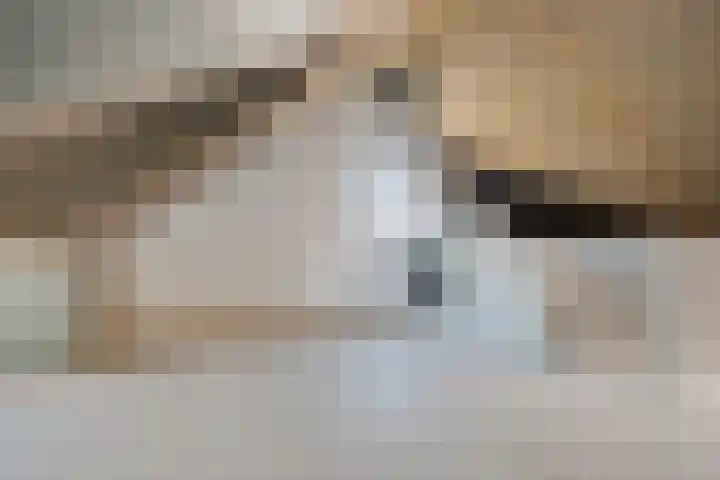 Melenhorst 26 Losser thumbnail 30