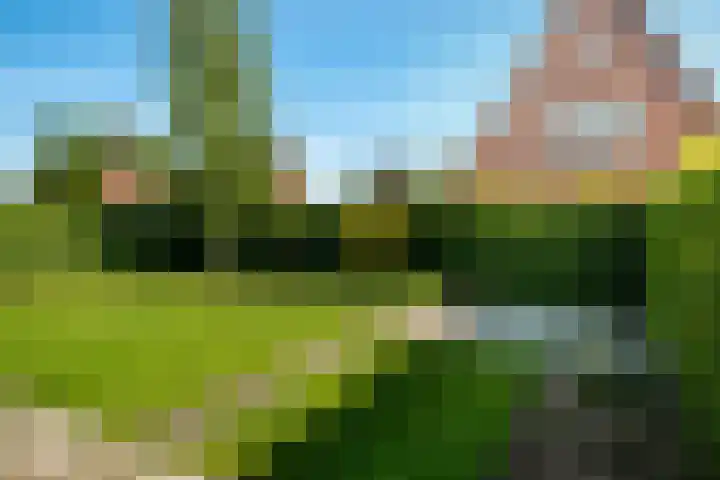 Melenhorst 26 Losser thumbnail 32