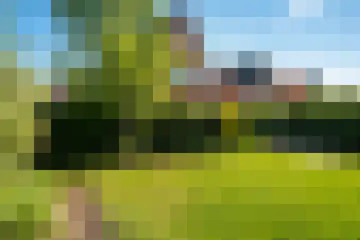 Melenhorst 26 Losser thumbnail 33