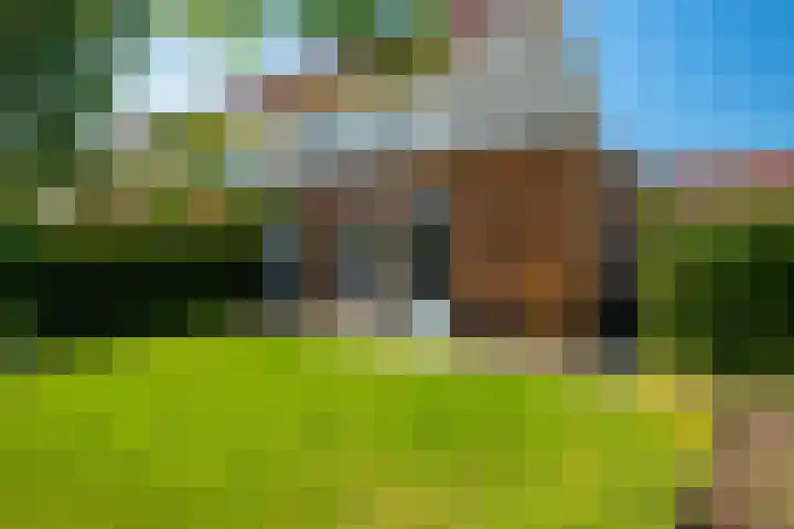 Melenhorst 26 Losser thumbnail 34