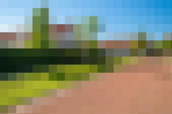 Melenhorst 26 Losser thumbnail 41