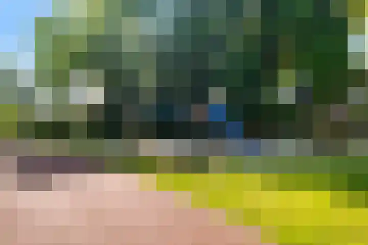 Melenhorst 26 Losser thumbnail 44