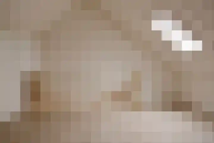 Melenhorst 27 Losser thumbnail 18