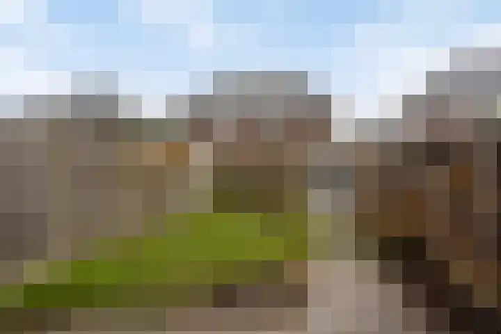 Melenhorst 27 Losser thumbnail 21