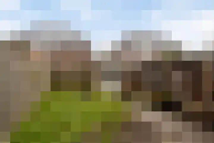 Melenhorst 27 Losser thumbnail 22