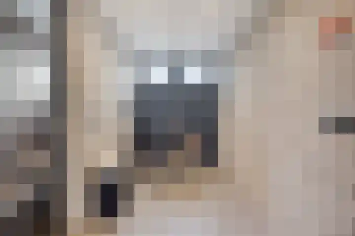 Melingstraat 27 Afferden L thumbnail 29