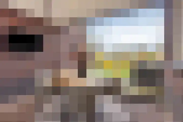 Melingstraat 27 Afferden L thumbnail 30