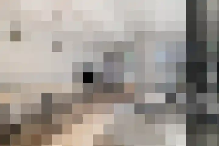 Melis Stokelaan 4 Beverwijk thumbnail 12