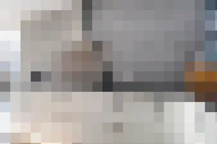 Melis Stokelaan 4 Beverwijk thumbnail 18