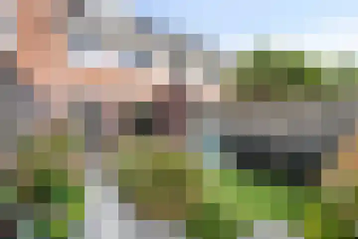 Melis Stokelaan 4 Beverwijk thumbnail 31