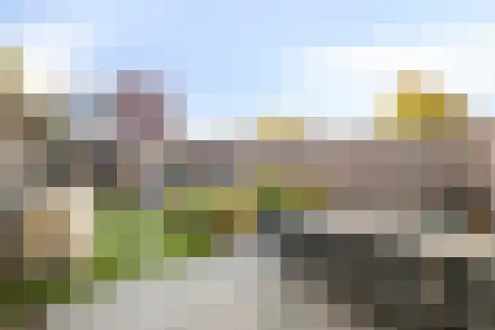 Melis Stokelaan 4 Beverwijk thumbnail 32