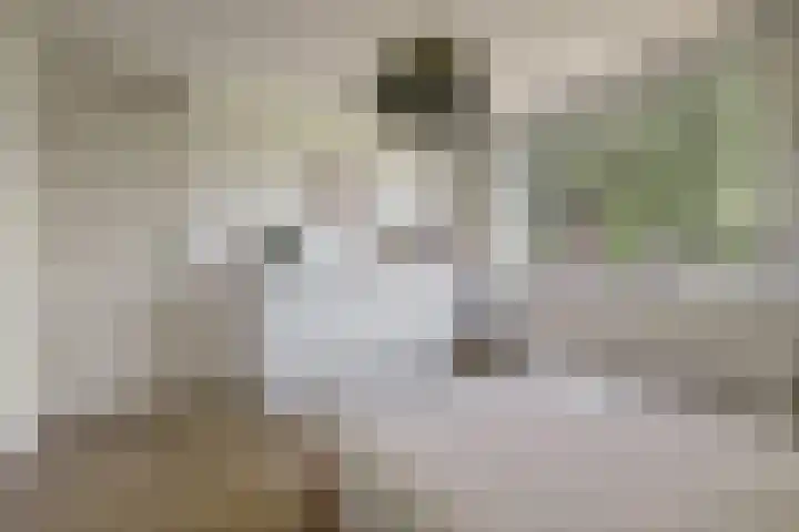 Mélisandepad 22 Amersfoort thumbnail 18