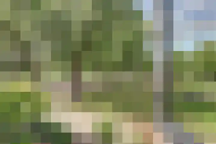 Mélisandepad 22 Amersfoort thumbnail 19