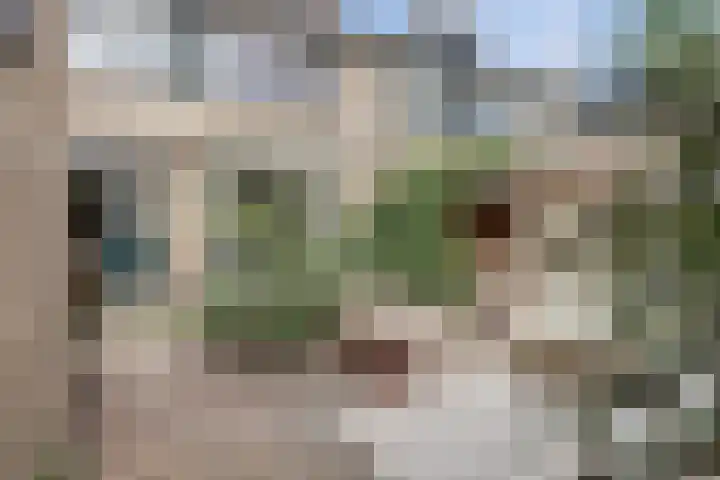 Mélisandepad 22 Amersfoort thumbnail 29