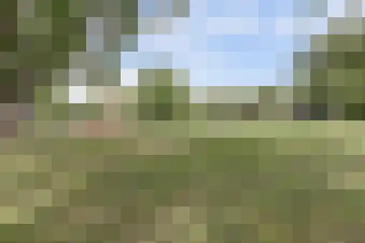 Mélisandepad 22 Amersfoort thumbnail 32