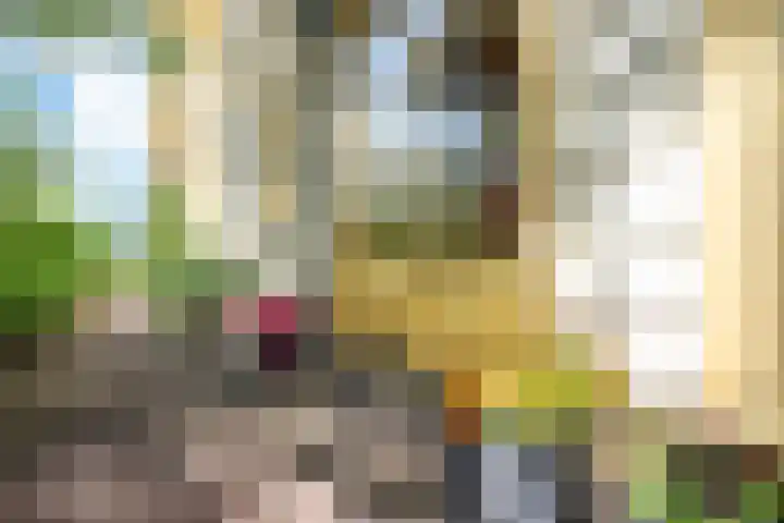 Melisse 14 Rutten thumbnail 41