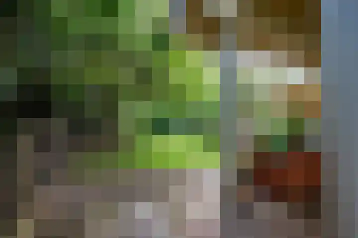 Melisse 14 Rutten thumbnail 42